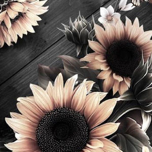 Meet your Posher, Summer